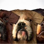 Camisetas super realistas de animais!