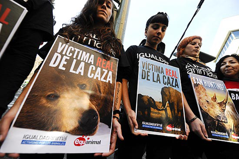 ORG XMIT: PPM2141 Activists of the NGO Igualdad Animal stage a protest holding placards displaying pictures of animals and reading "Ban Hunting" and "These are the real victims of hunting" near San Jose hospital in Madrid on April 17, 2012, where Spain's King Juan Carlos is hospitalized. Spain's King Juan Carlos, patron of a wildlife charity, faced fire for making an expensive hunting trip to Botswana while his country struggles with a recession. Juan Carlos, 74, had urgent surgery on his hip after breaking it on the visit, which left him recovering at San Jose hospital in Madrid. But his condition was overshadowed by rare criticism of him for the reported hunting trip. AFP PHOTO/ PIERRE-PHILIPPE MARCOU