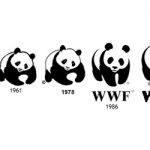 “Ambientalistas” podem se candidatar à bolsa de estudos do WWF