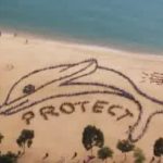 1.000 crianças de Hong Kong pedem a proteção dos golfinhos
