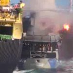 Baleeiros lançam granada em navio ambientalista