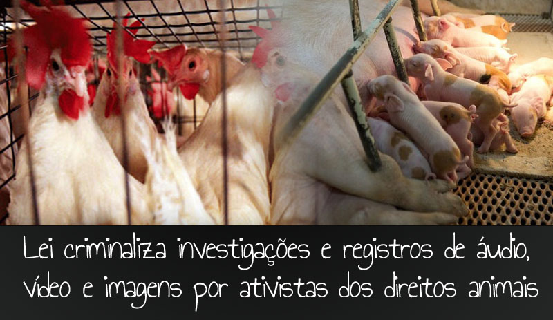 lei-criminaliza-investigacoes-de-ativistas-dos-direitos-animais