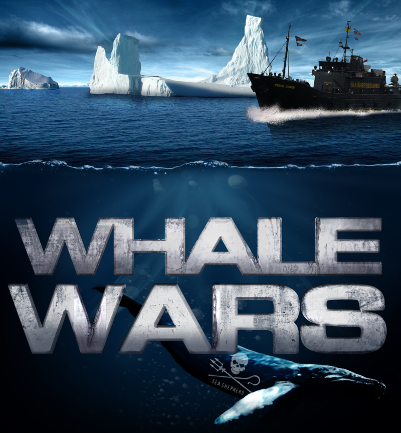 whale-wars-começa-baleias-programa-sea-shepherd-tripulação-animal-planet