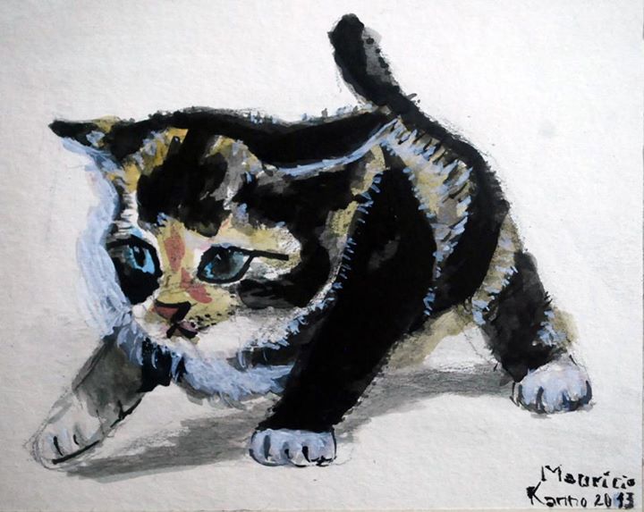 gato-direitos-animais-arte-artistas-desenhos