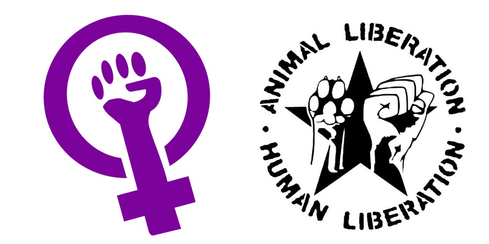 feminismo-veganismo-direitos-animais-direito-mulheres-ecofeminismo-camaleão