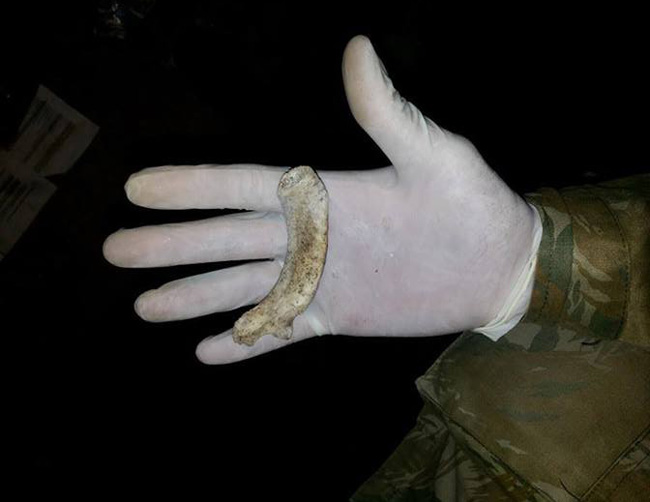 Pedaços de ossos encontrados nas proximidades do Instituto Royal.
