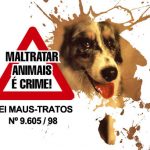 Animais estão sendo envenenados em São José dos Campos (SP)