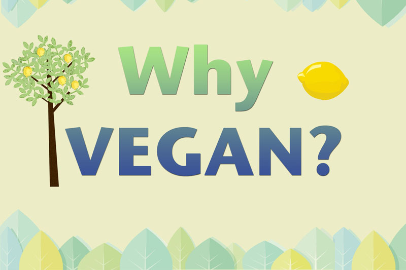 por-que-veganismo-why-vegan-qual-motivo-para-ser-vegano