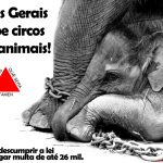 Minas Gerais proíbe o uso de animais em circos