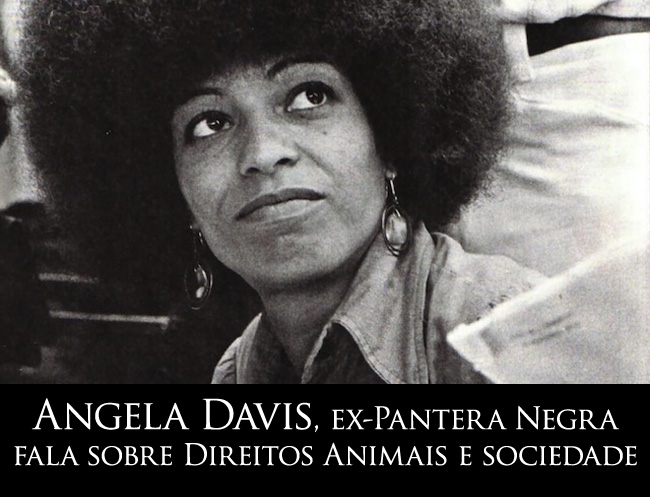 angela-davis-pantera-negra-black-panther-direitos-animais-veganismo-ativista-estados-unidos
