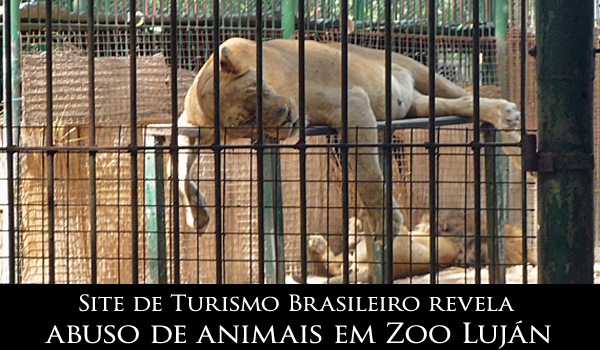 site-de-turismo-brasileiro-revela-abuso-de-animais-em-zoo-lujan