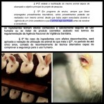 Projeto de Lei Nacional sobre testes em animais é controverso