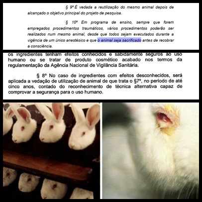 animais-projeto-de-lei-nacional-sobre-testes-em-animais-e-aprovada-e-controversa-ricardo-izar-brasil-cosméticos