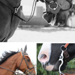 Equitação: técnica / exercício de andar a cavalo