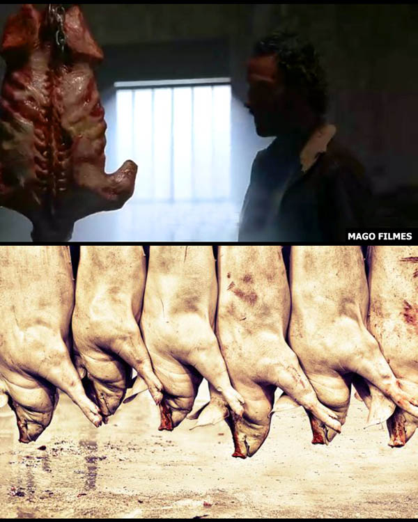 walking-dead-relação-matadouros-carne-humana-carne-animal-zumbis-veganismo-proteína