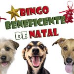 Bingo beneficente em Taubaté terá renda para cães e gatos