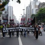 Veddas faz protesto impactante em São Paulo