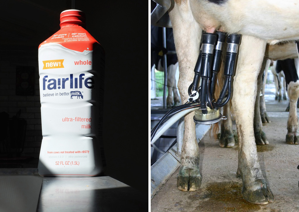 Coke Debuts New Reformulated Milk Called Fairlife, Boasting More Protein And Less Sugar