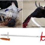 Toureiro é ferido nos testículos em touradas na Espanha