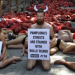 ONGs fazem ação conjunta contra touradas na Espanha