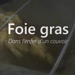 Crueldade: vídeo mostra patinhos sendo triturados em fábrica de Foie gras