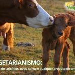 Vegetarianismo: entenda as principais confusões de interpretação e o que é